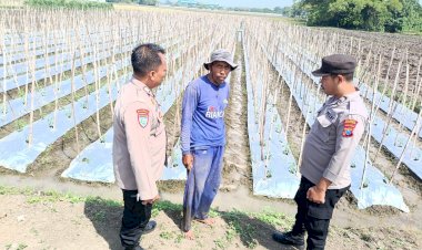 Polsek-Balongbendo-Dukung-Ketahanan-Pangan-Desa-Seduri,-Wujudkan-Pekarangan-Produktif-dengan-Tanaman-Lombok